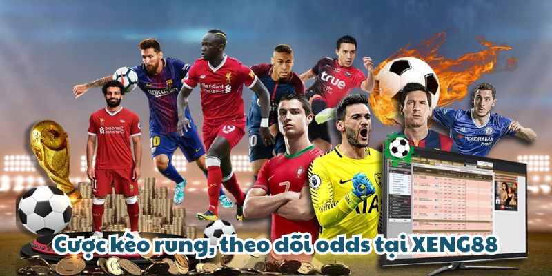 Cược kèo rung, theo dõi odds tại XENG88